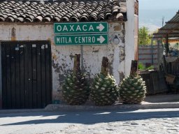 Oaxaca2011-119
